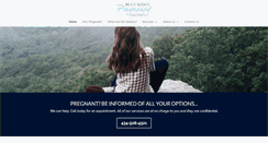 Desktop Screenshot of blueridgepc.org